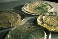 Glass Plates in Mixed Olive