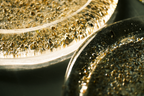 Glass Plates in Brulee