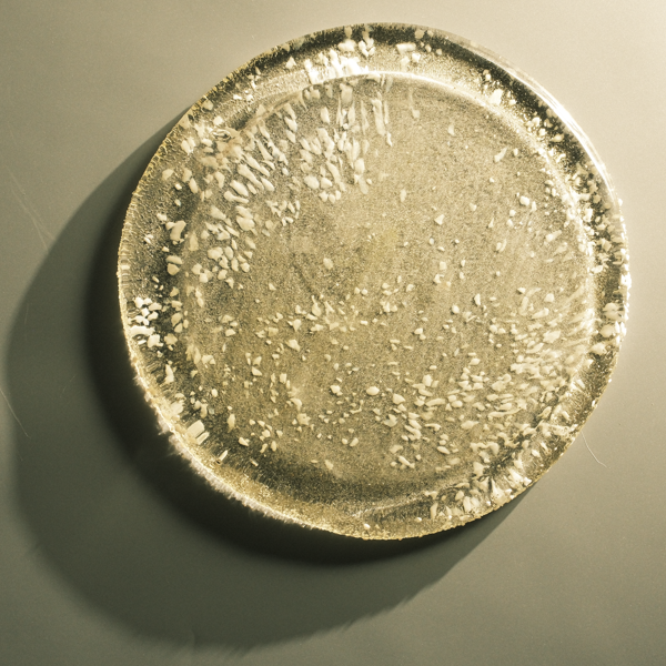 Glass Plate in Sugar